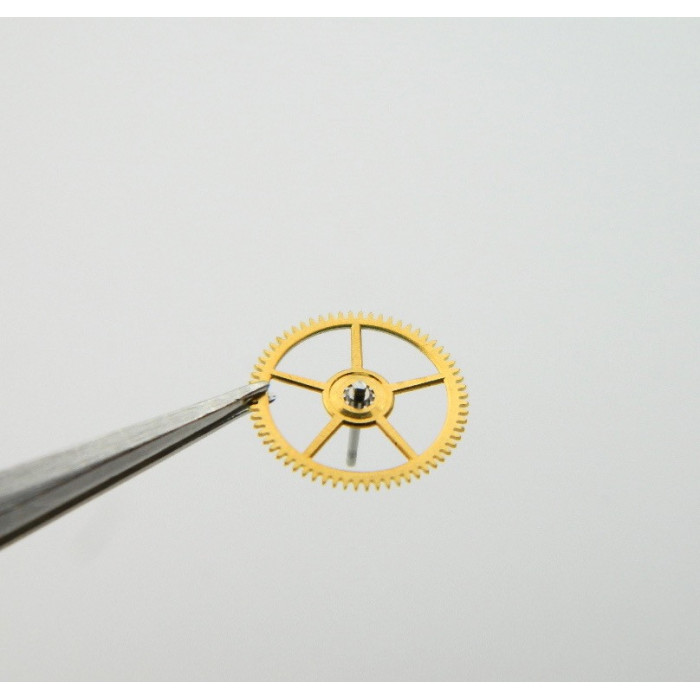 Movado 475-201 Grande moyenne sans chaussée