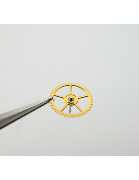 Movado 475-201 Grande moyenne sans chaussée