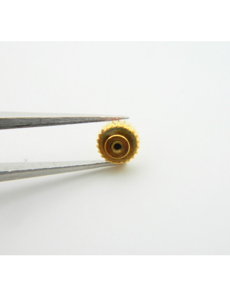 Zenith Couronne anti-poussière dorée