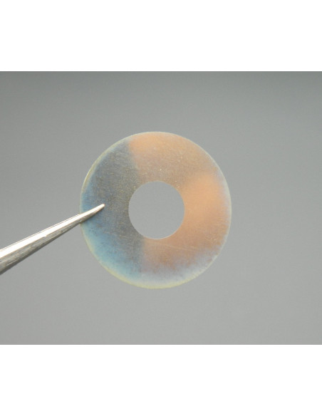 Movado 608-145 Support de cadran