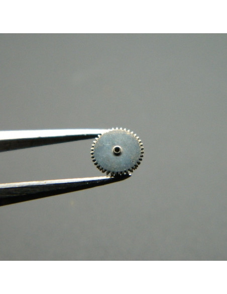 Movado 608-1488 Roue-cliquet