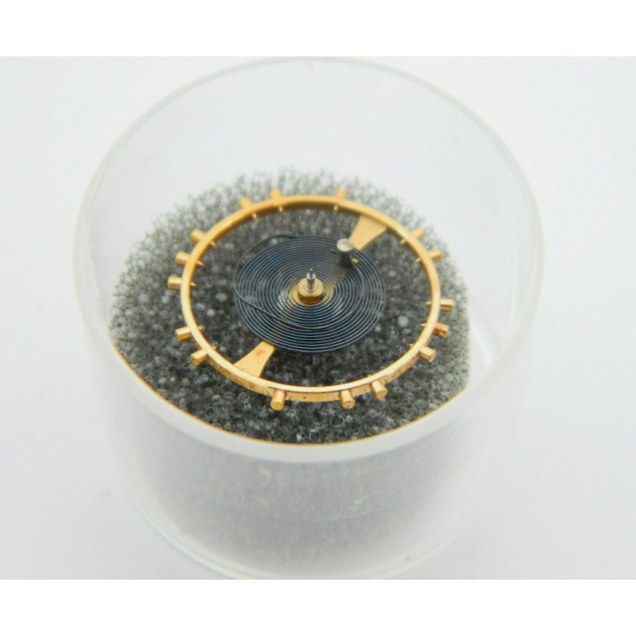 Breguet Type11 - Balancier