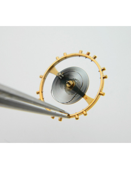 Breguet Type11 - Balancier