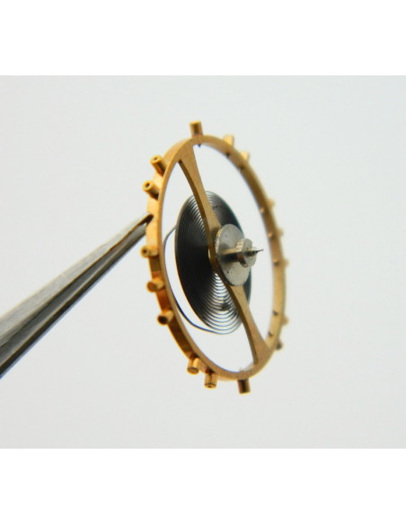 Breguet Type11 - Balancier