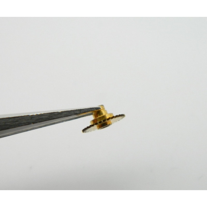 IWC 8541 - 21 Roue des heures