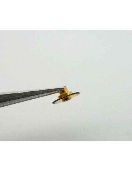 IWC 8541 - 21 Roue des heures