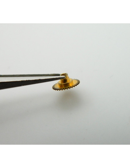 IWC 8541 - 21 Roue des heures