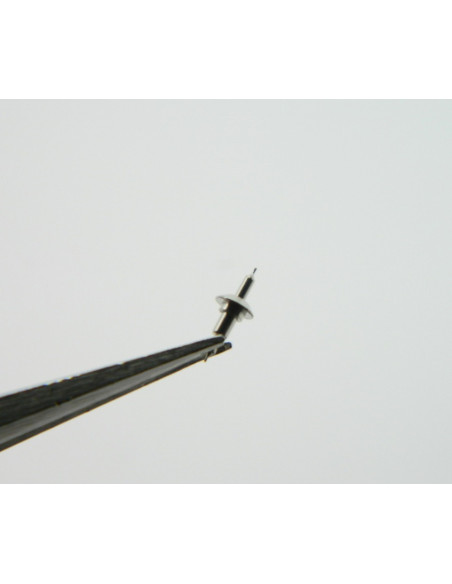 Angelus 215 - 1907 Axe de Balancier