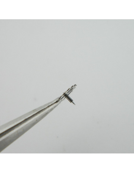 Rolex 282 - 2483 Roue d'échappement
