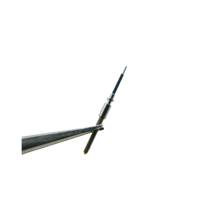 Patek Philippe 27 SC - 401 Tige