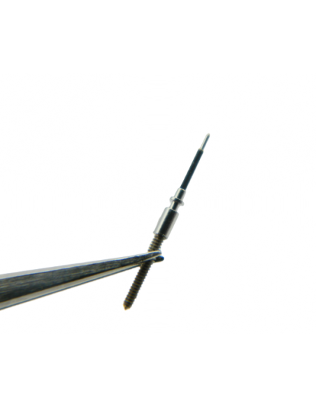 Patek Philippe 27 SC - 401 Tige