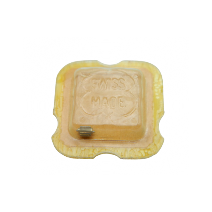 Valjoux 72 - 8630 Pignon entraîneur