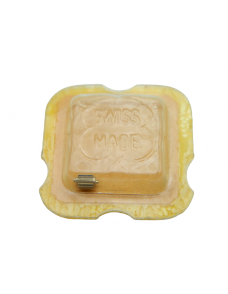 Valjoux 72 - 8630 Pignon entraîneur