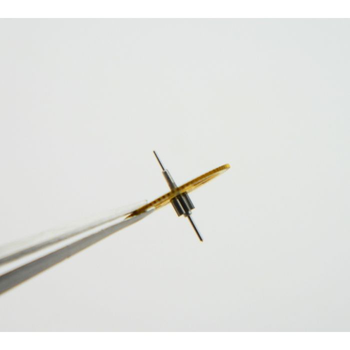 Minerva 13/20 - 2008 Roue de seconde