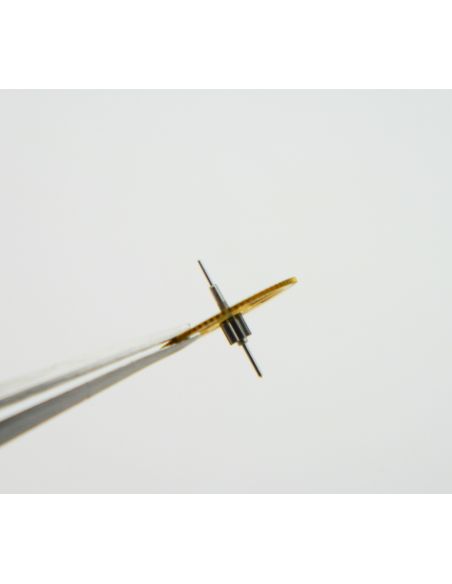 Minerva 13/20 - 2008 Roue de seconde