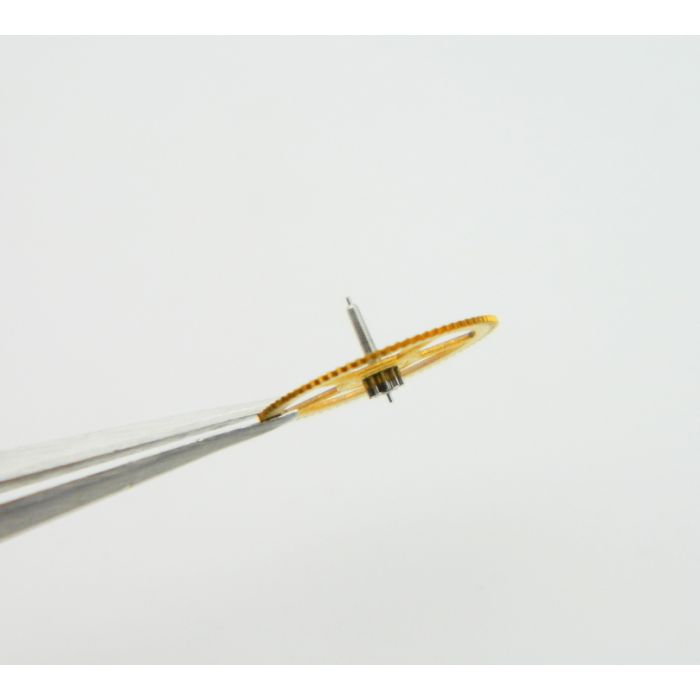 Minerva 13/20 - 2024 Third wheel