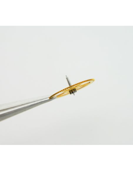 Minerva 13/20 - 2024 Third wheel