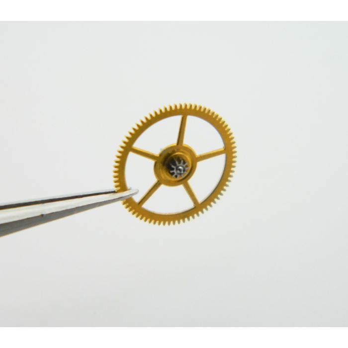 Minerva 13/20 - 2024 Third wheel