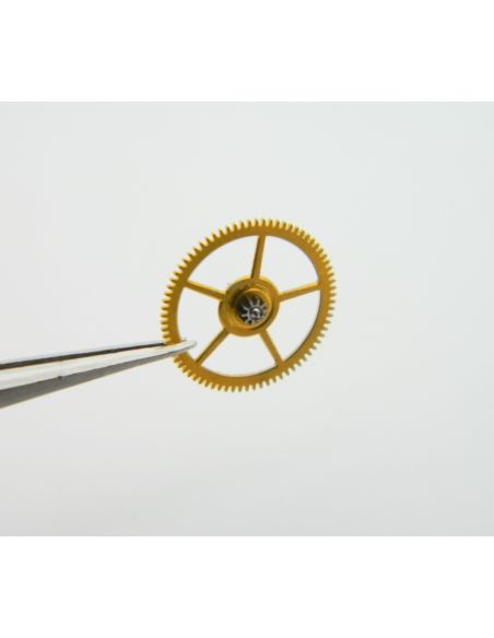 Minerva 13/20 - 2024 Third wheel