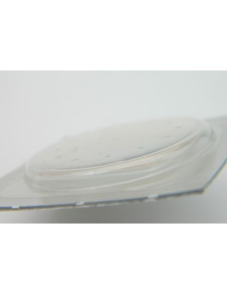 Omega 16060 Verre - PN2184