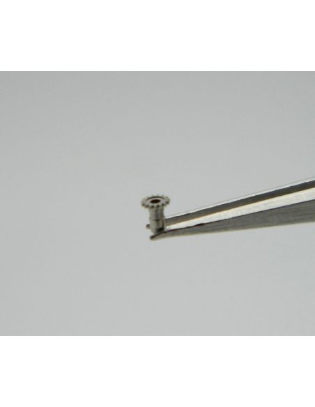 Movado 380 - 243 Chaussée
