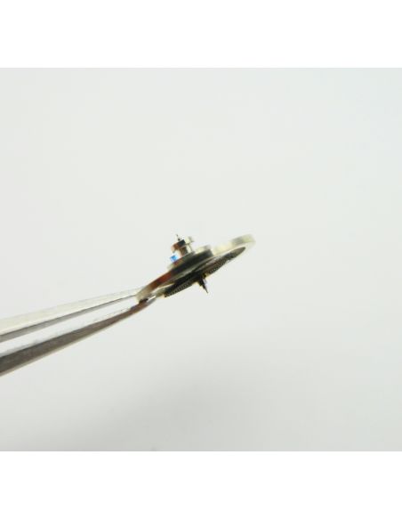 Valjoux 24 - 721 Balance