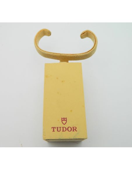 Tudor plot de montre