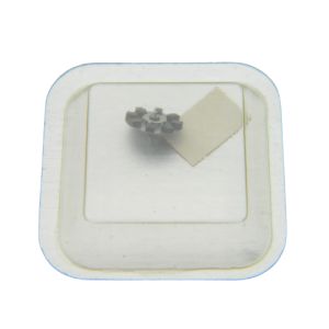 Certina 29-251 - 4210 Rotor