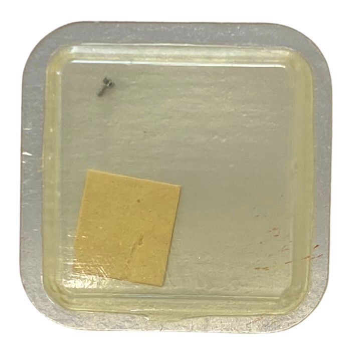 Omega 640 - 240 Chaussée lanternée - Cannon pinion with clam notch