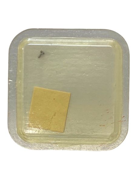 Omega 640 - 240 Chaussée lanternée - Cannon pinion with clam notch