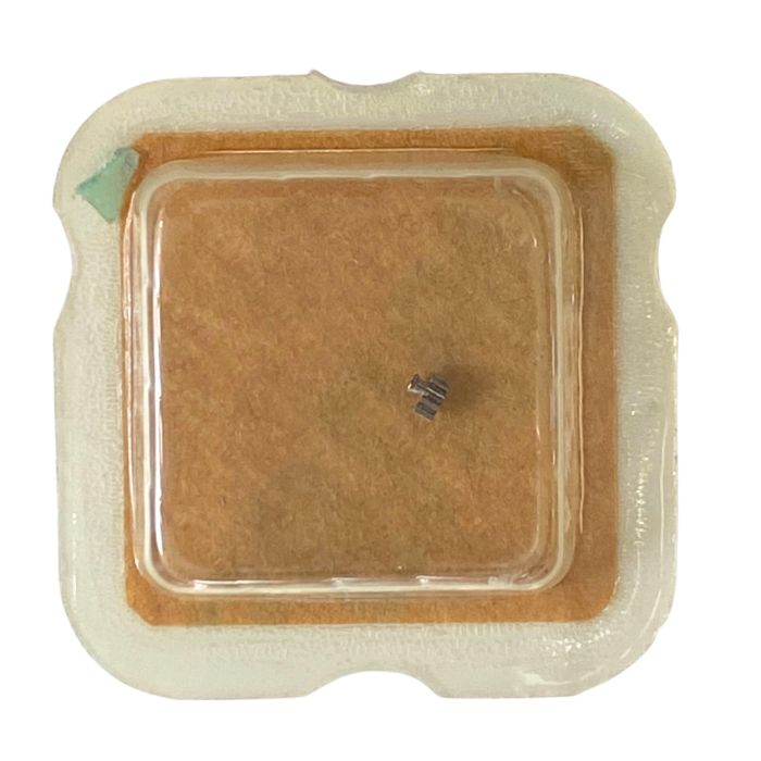 ST 1800 - 240 Chaussée lanternée - Cannon pinion with clam notch