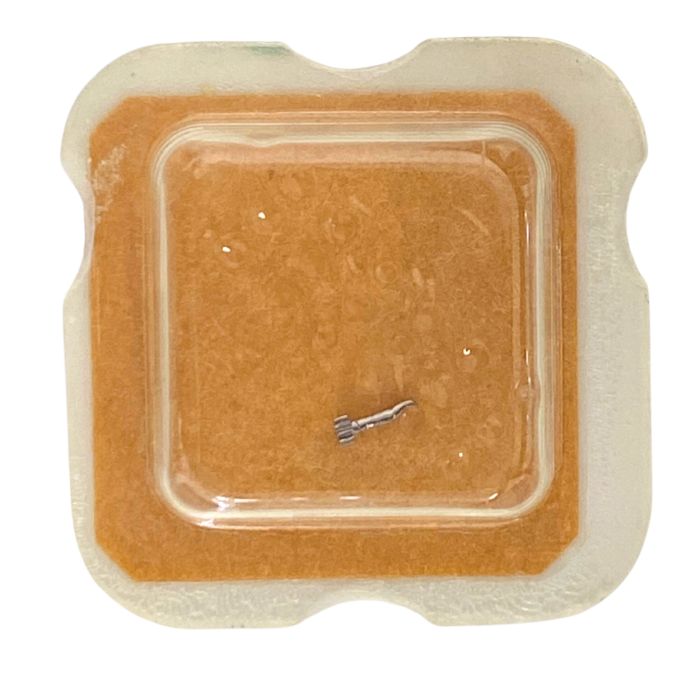 ST 69-21 - 240 Chaussée lanternée - Cannon pinion with clam notch