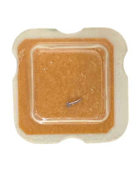 ST 69-21 - 240 Chaussée lanternée - Cannon pinion with clam notch