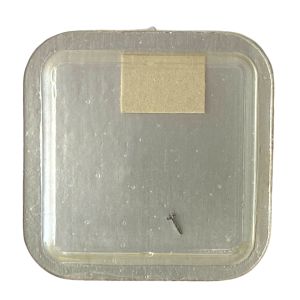 Zenith 225 - 240 Chaussée lanternée - Cannon pinion with clam notch