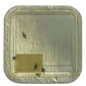 Omega 244 - 724 Axe de balancier "Incabloc" - "Incabloc" balance staff, pivoted