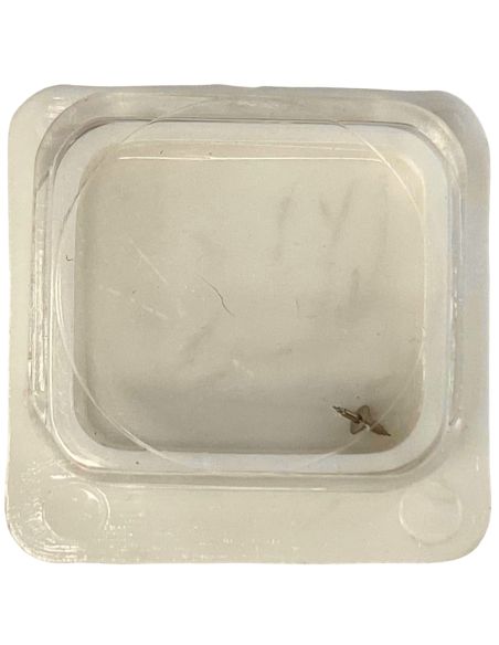 Valjoux 7734 - 728 Axe de balancier pour dispositif amortisseur - Balance staff for shock-protecting device