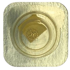 Tissot 530 - 705 Roue d'ancre pivotée (à l'unité) - Escape wheel and pinion with straight pivots (per unit)