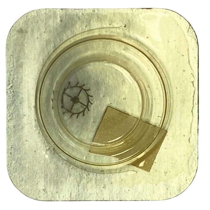 Tissot 709/2 - 705 Roue d'ancre pivotée (à l'unité) - Escape wheel and pinion with straight pivots (per unit)