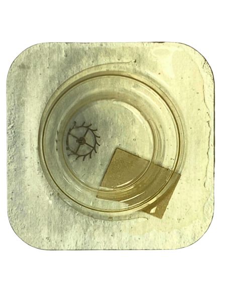 Tissot 709/2 - 705 Roue d'ancre pivotée (à l'unité) - Escape wheel and pinion with straight pivots (per unit)
