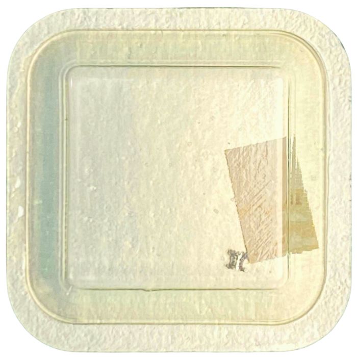 Longines 460 - 407 Pignon coulant (à l'unité) - Clutch wheel (per unit)