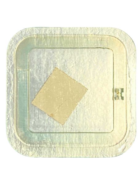 Longines 701 - 407 Pignon coulant (à l'unité) - Clutch wheel (per unit)