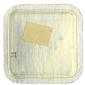 Omega 244 - 1107 Pignon coulant (à l'unité) - Clutch wheel (per unit)