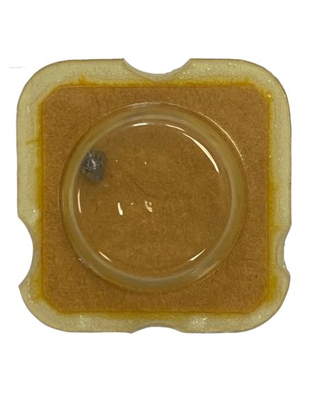 FHF 82 - 195 Arbre de barillet - Barrel arbor