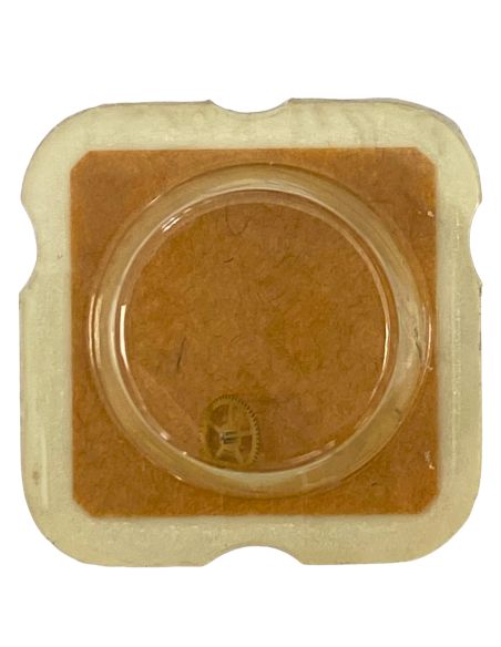 AS 976 - 210 Roue moyenne (à l'unité) - Third wheel and pinion (per unit)