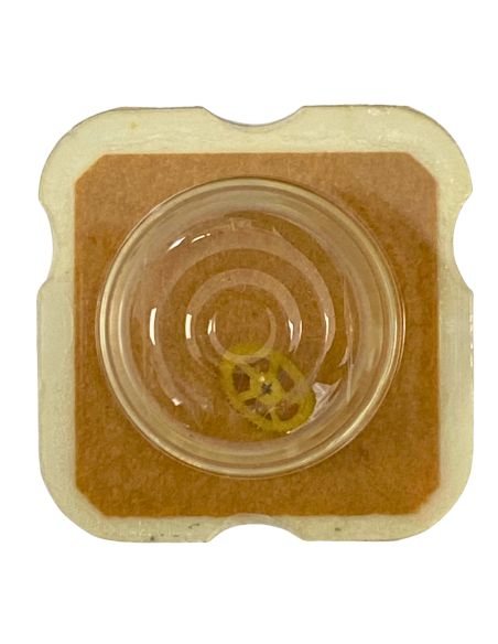 FHF 57 - 219 Roue moyenne pour deux contre-pivots (à l'unité) - Third wheel and pinion for two end-piece (per unit)