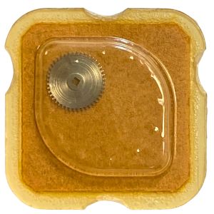 AS 1782 - 415 Rochet (à l'unité) - Ratchet wheel (per unit)