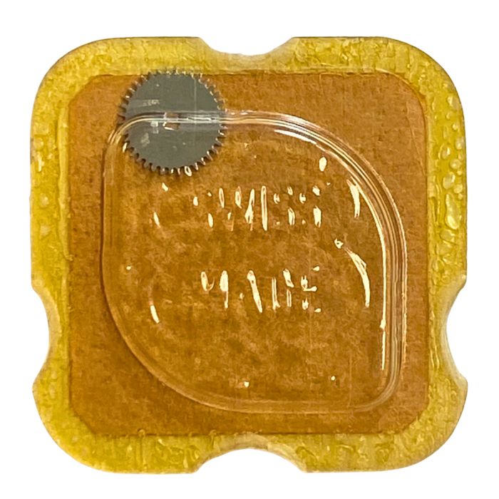 INT 72 - 415 Rochet (à l'unité) - Ratchet wheel (per unit)