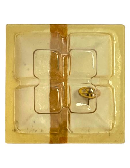 Junghans 670.05 - 201 Roue de centre sans chaussée (à l'unité) - Center wheel and pinion without cannon pinion (per unit)