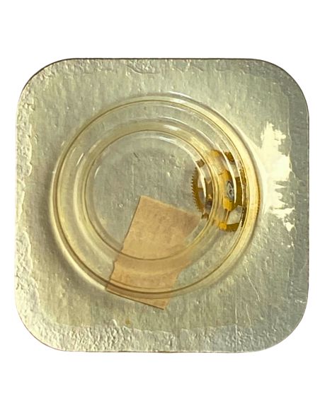 Longines L.631.2 - 203 Roue intermédiaire (à l'unité) - Intermediate wheel and pinion (per unit)