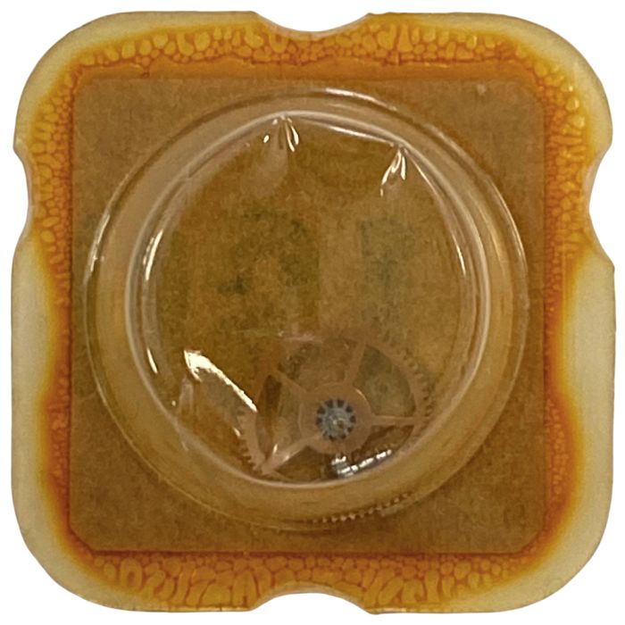 Omega 470 - 1224 Roue de centre avec chaussée (roue de minute) (à l'unité) - Center wheel and pinion with cannon pinion (per uni